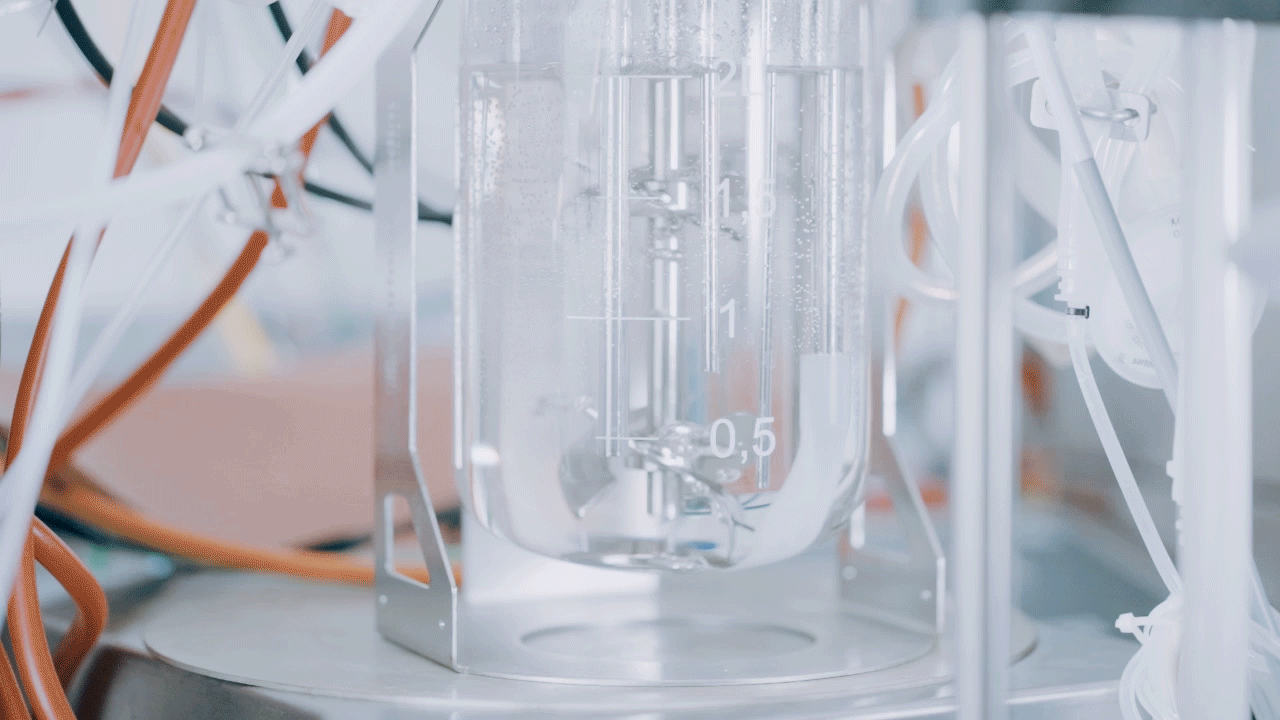 Aleph Farms and Thermo Fisher Scientific Establish Supply Chain Solution for Growth Media