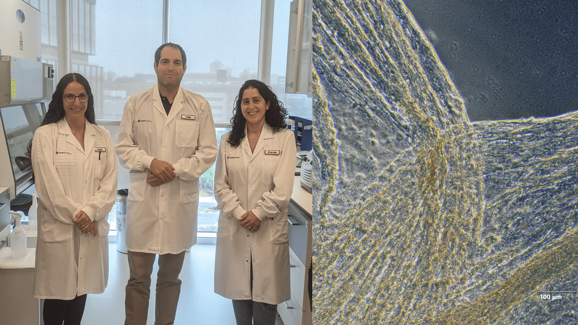 More Than Steaks: A Sit-Down With Dr. Yair Glick From Aleph Farms’ Collagen Product Development